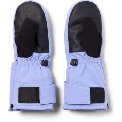 Spyder Toddler Boys Toddler Cubby Ski Mittens -Obermeyer Store fw2324 spyder littleboystoddlercubbyskimittens cloudpurple 2