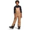 The North Face Big Kid's Freedom Insulated Bibs