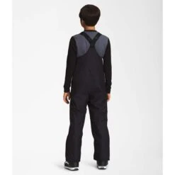 The North Face Teen Freedom Insulated Bib -Obermeyer Store nf0a7wp2 jk3 03 22 23