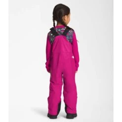 The North Face Youth Freedom Insulated Bib -Obermeyer Store nf0a7wpb 146 03 22 23