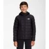 The North Face Boys ThermoBall Hooded Jacket -Obermeyer Store nf0a7wpz jk3 01 22 23