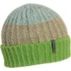 Turtle Fur Youth Recycled Vicki -Obermeyer Store turtlefur vickibeanie grass 2223fw