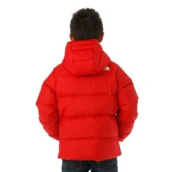 The North Face Boys Reversible North Down Hooded Jacket -Obermeyer Store wk.ww session 1 day 3 4139